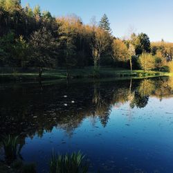 Reflection of trees in lake against sky