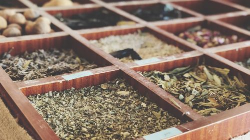 Close-up view of leaves