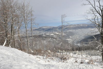 Scenic view of snow covered landscape