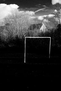 Trees on field