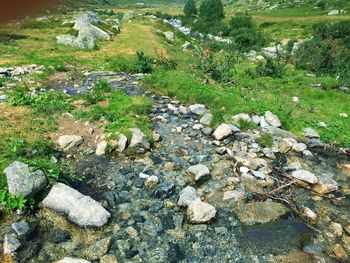 High angle view of stones on land