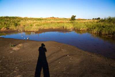 Shadow of man by pond during sunny day