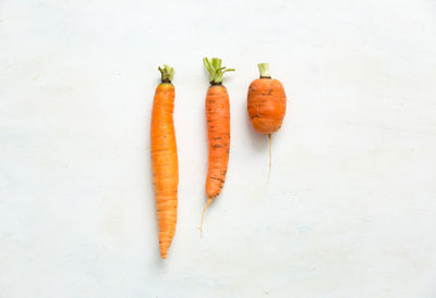 High angle view of fresh vegetables against white background