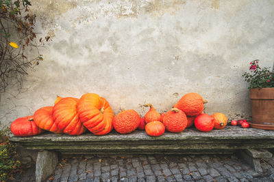 High angle view of pumpkins on wall