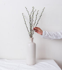 Hand making white flowers bouquet in vase on  white table against white wall