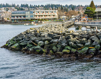 The breakwater and pier in edmonds, washington.