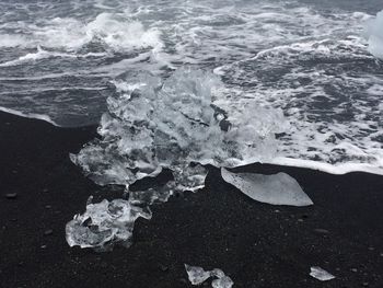 Close-up of sea shore