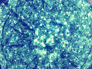 Full frame shot of tree