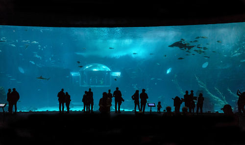 Silhouette people standing at aquarium