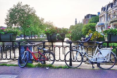 Cars parked in front of trees