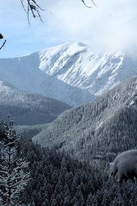 Scenic view of snowcapped mountains