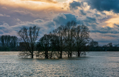 Flood on the rhine between cologne and leverkusen, germany.