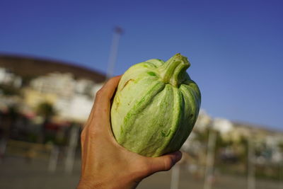 Close-up of hand holding apple against clear sky