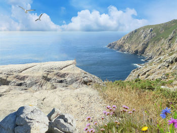 Sea landscape with rocks flowers and flying seagulls birds