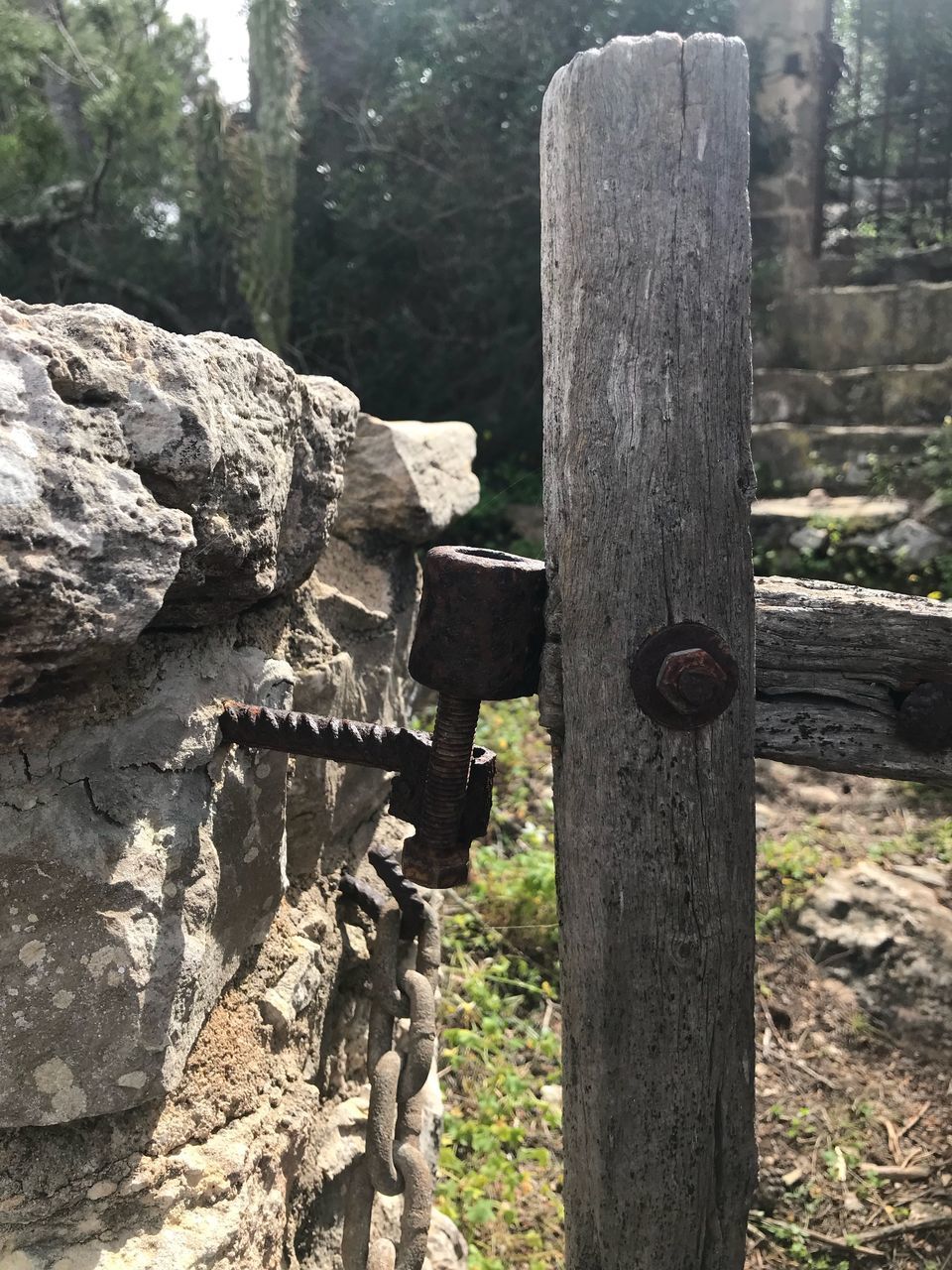 CLOSE-UP OF WOODEN POST IN FOREST