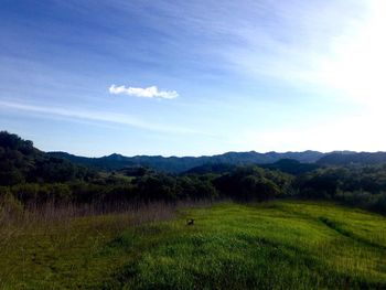 Scenic view of landscape against sky