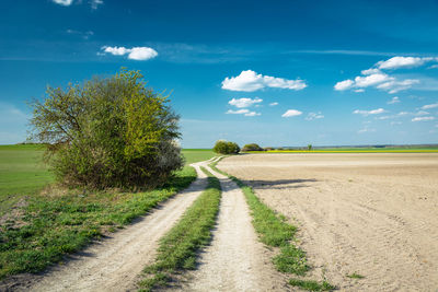 A dirt road and a plowed field, bushes by the road, spring rural landscape