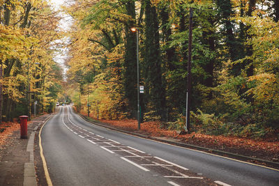 Road amidst trees in forest