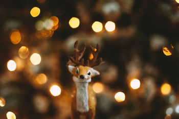 Close-up of reindeer figurine against illuminated christmas tree