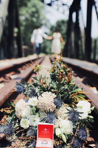 Close-up of potted plant