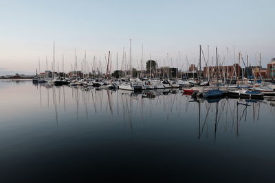 Sailboats moored in harbor