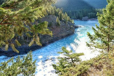 Scenic view of river with trees in background