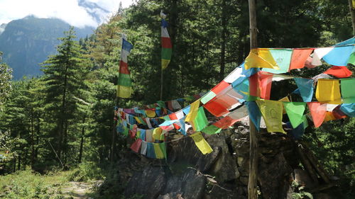 Multi colored flags hanging amidst trees in forest