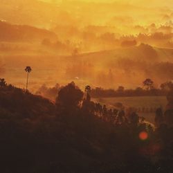 Scenic view of landscape in thailand