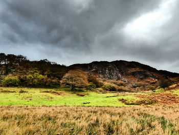 Scenic view of grassy landscape against cloudy sky