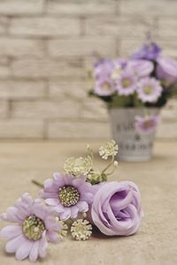 Close-up of pink rose flower on table