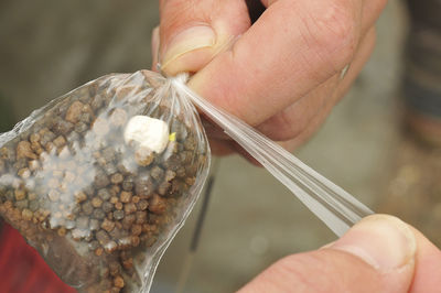 Cropped hands holding plastic bag with fish food