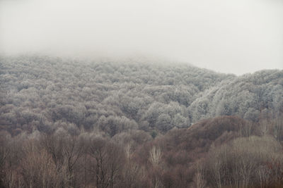 Scenic view of landscape against sky during foggy weather