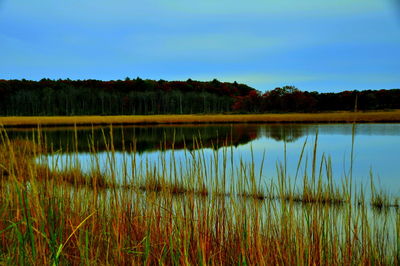 Scenic view of lake against sky