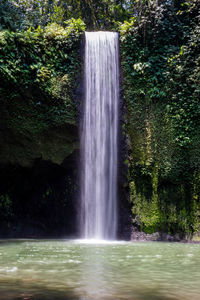 View of waterfall in forest