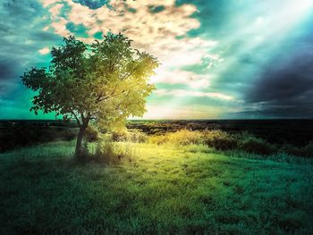 Scenic view of landscape against cloudy sky