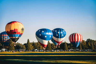 Hot air balloons in summer