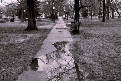 Surface level of footpath in park