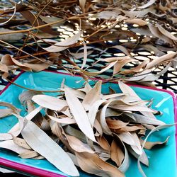 Close-up high angle view of stones