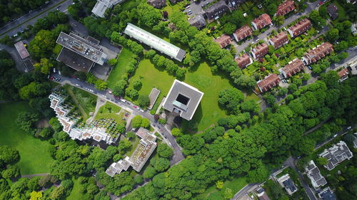 High angle view of tree by building in city