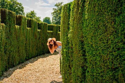 Woman standing behind a hedge in a maze.