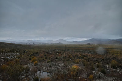 Scenic view of field against sky