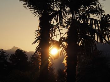 Silhouette trees against sky during sunset