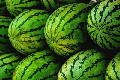 Full frame shot of watermelons for sale