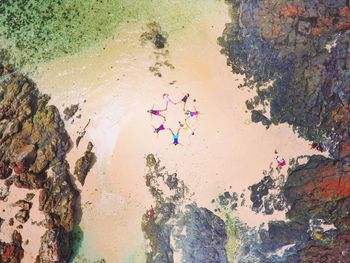 High angle view of trees and water