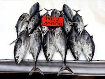 Close-up of fish for sale in market