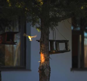 Close-up of birdhouse against tree trunk