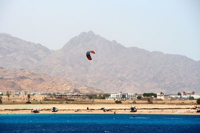 Kite surfing sports at dahab, sinai, egypt 