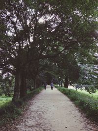 People walking on footpath