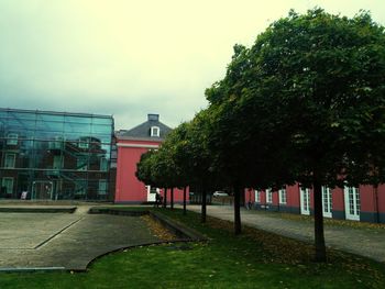 Trees in city against sky