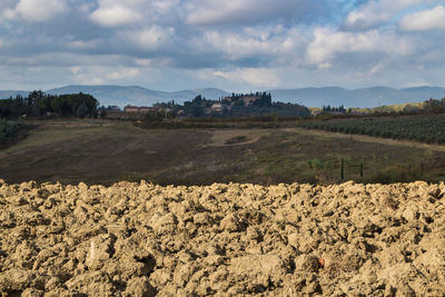 Scenic view of field against sky